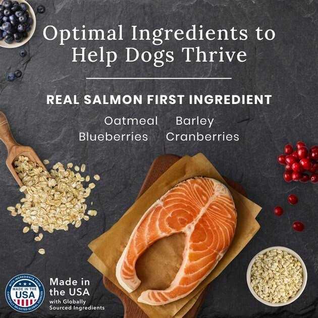 Salmon Dry Dog Food I4228