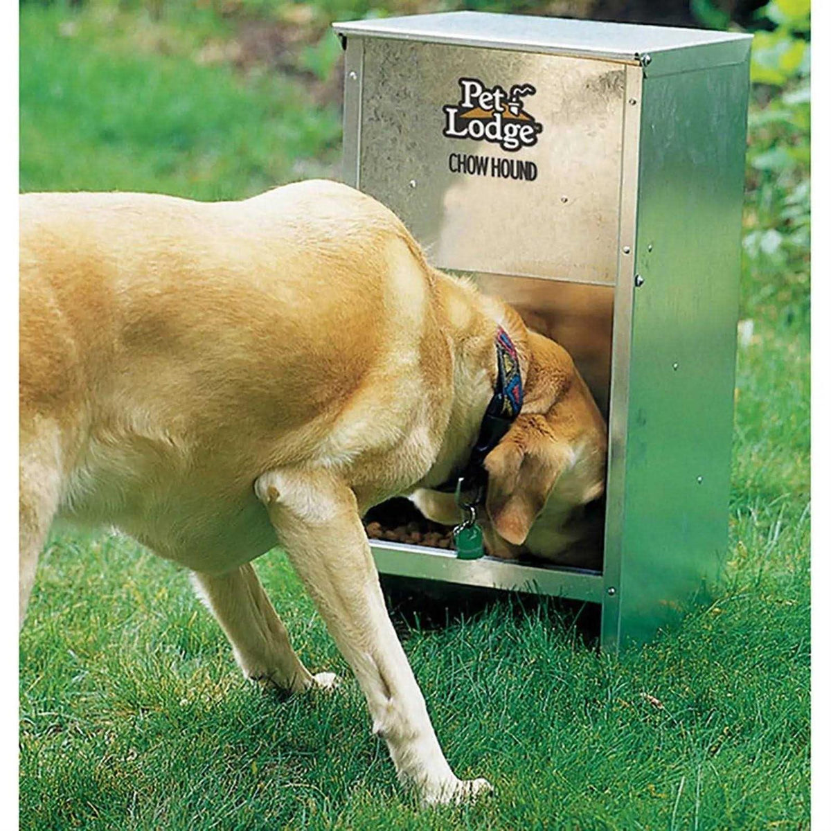 12 Pound Dog Feeder B1551