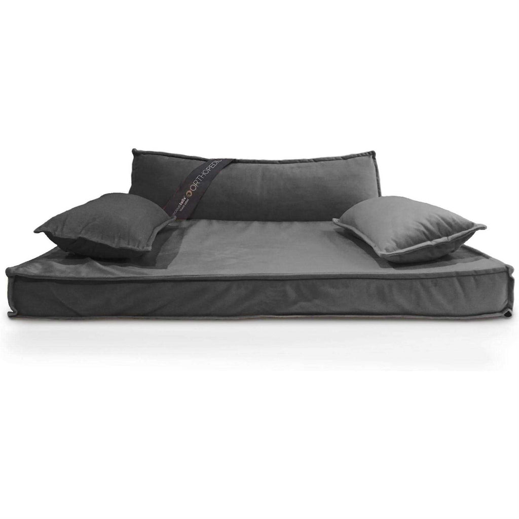 Modern Pet Sofa Bed Y244