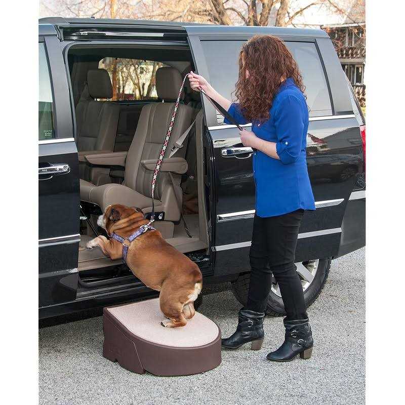 Dog Stair and Ramp Combination X57000