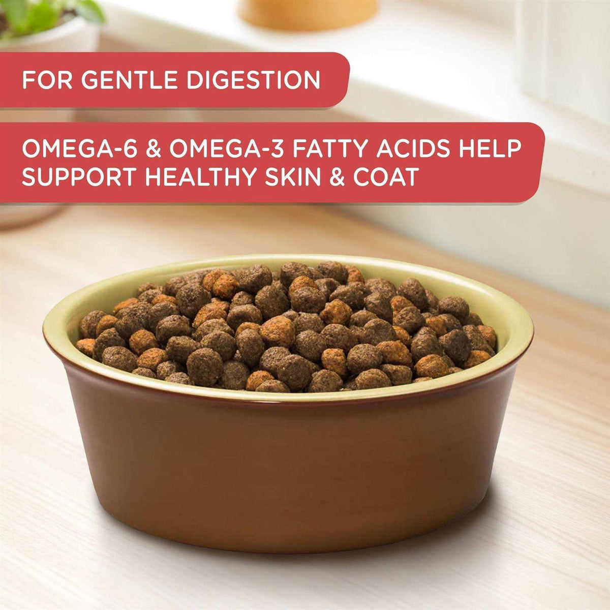 Salmon Veggies & Brown Recipe Dry Dog Food V4513
