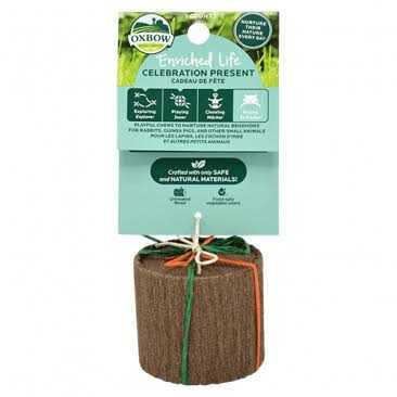 Enriched Life Celebration Cupcake M633