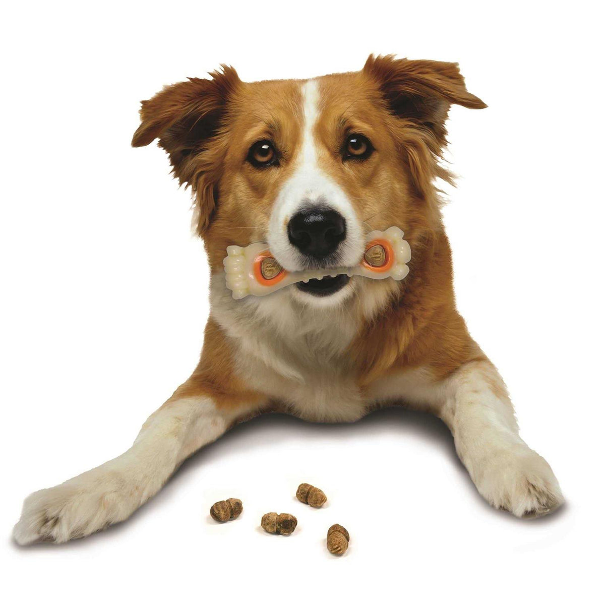 Dog Treat Refills S6254