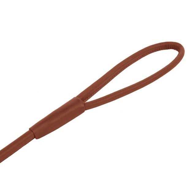 Rolled Leather Dog Leash A372