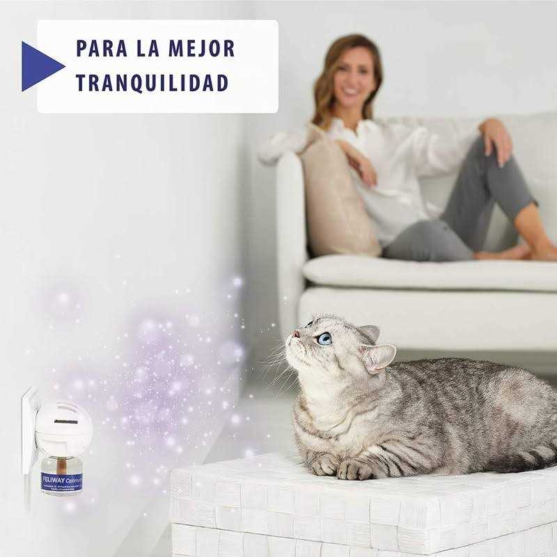 Calming Refill 48mL Y6049