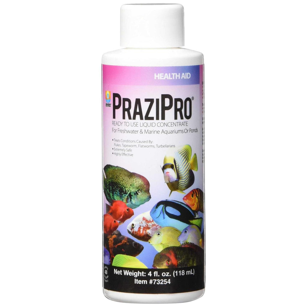 PraziPro F600447