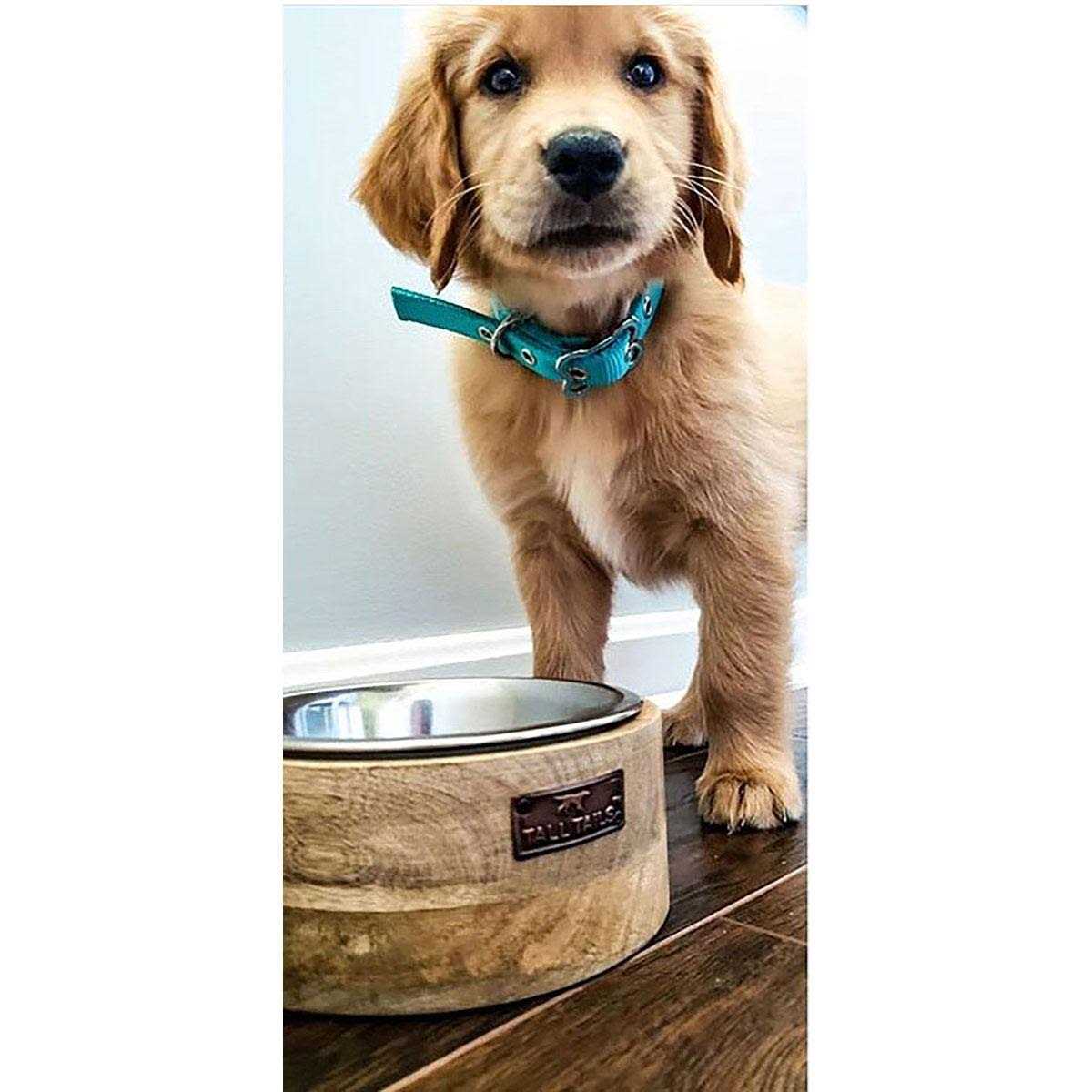 Wood Dog Bowl E2845