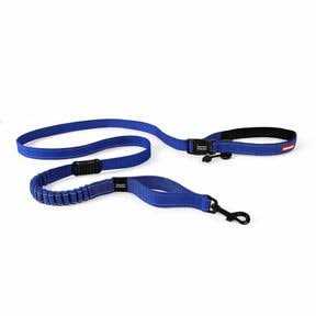 Leash Q13152