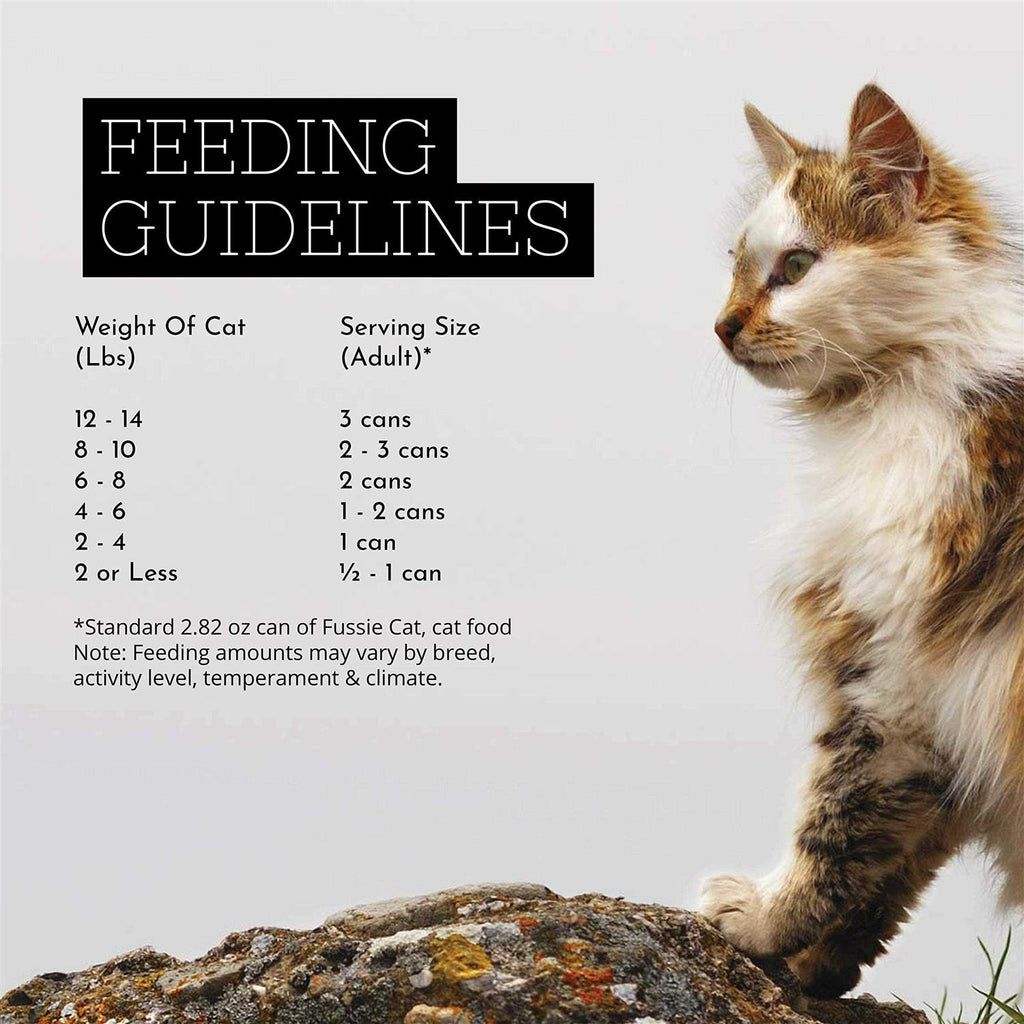 Chicken Gravy Cat Food T588296