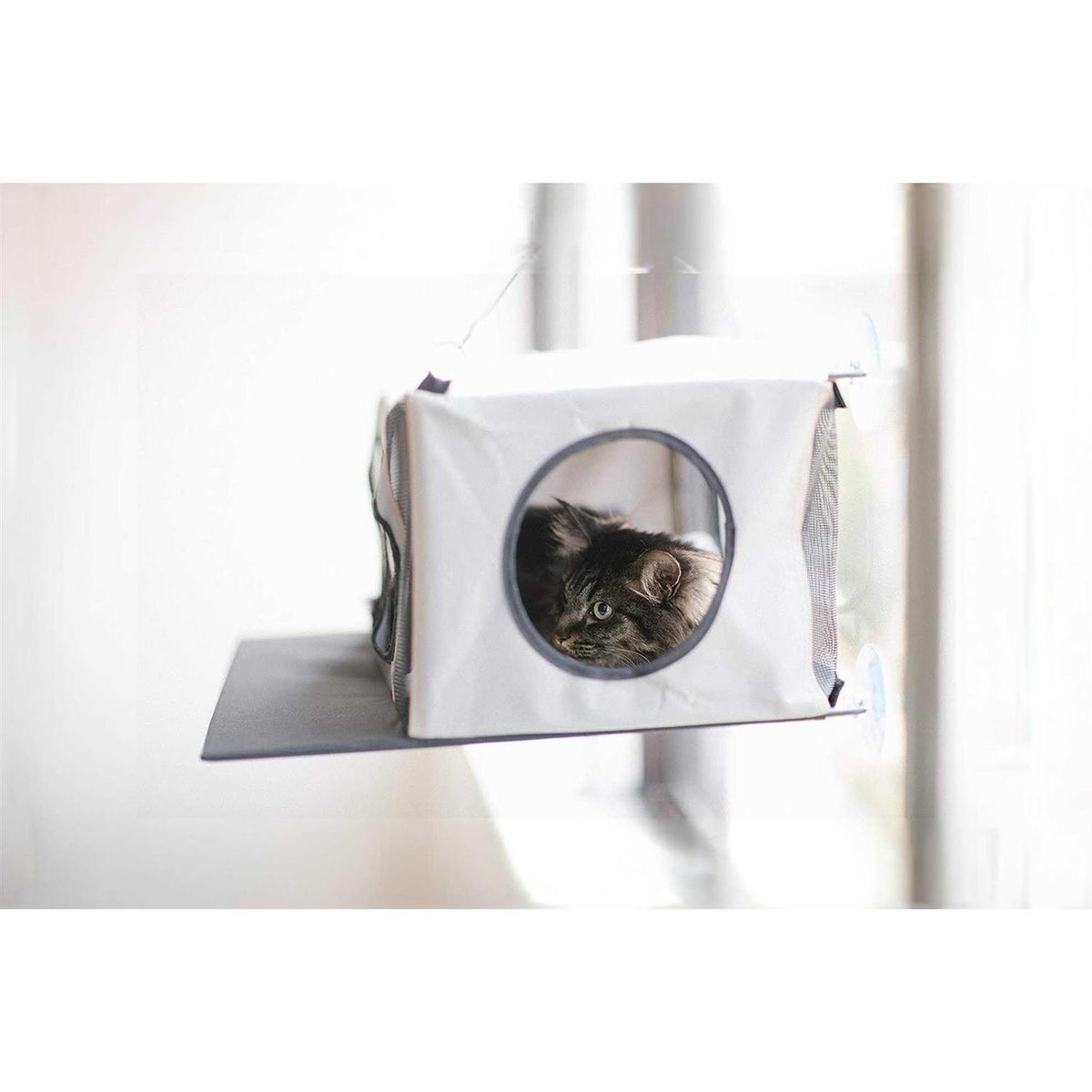 Cat Penthouse G804057