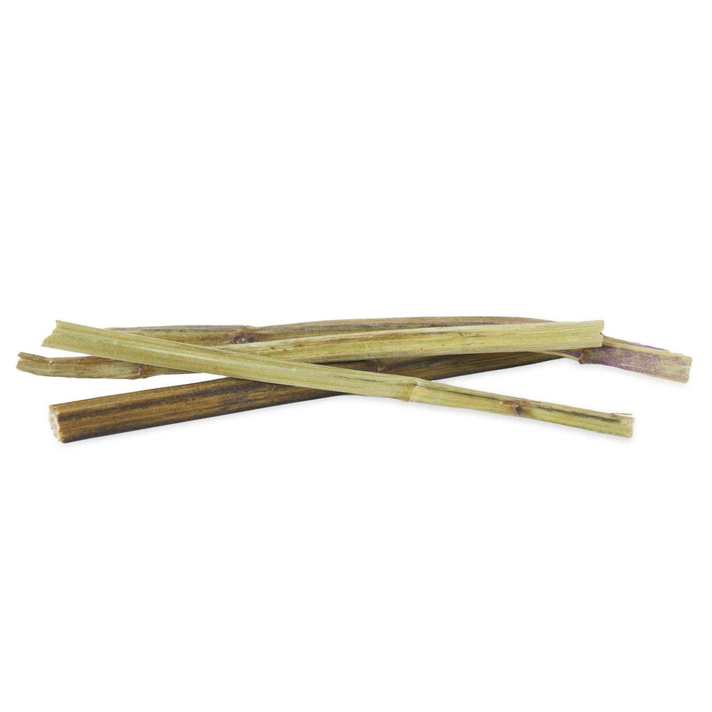 Catnip N440373