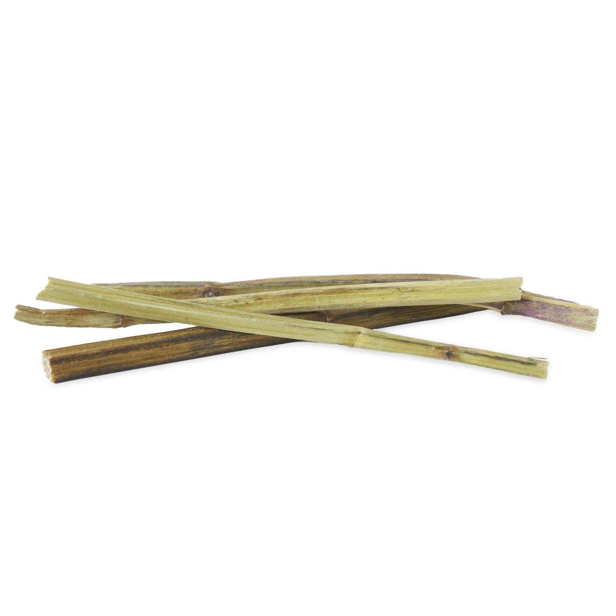 Catnip N440373