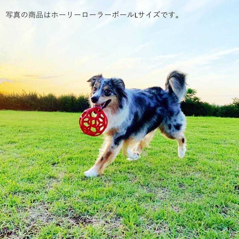 Dog Toy X954345