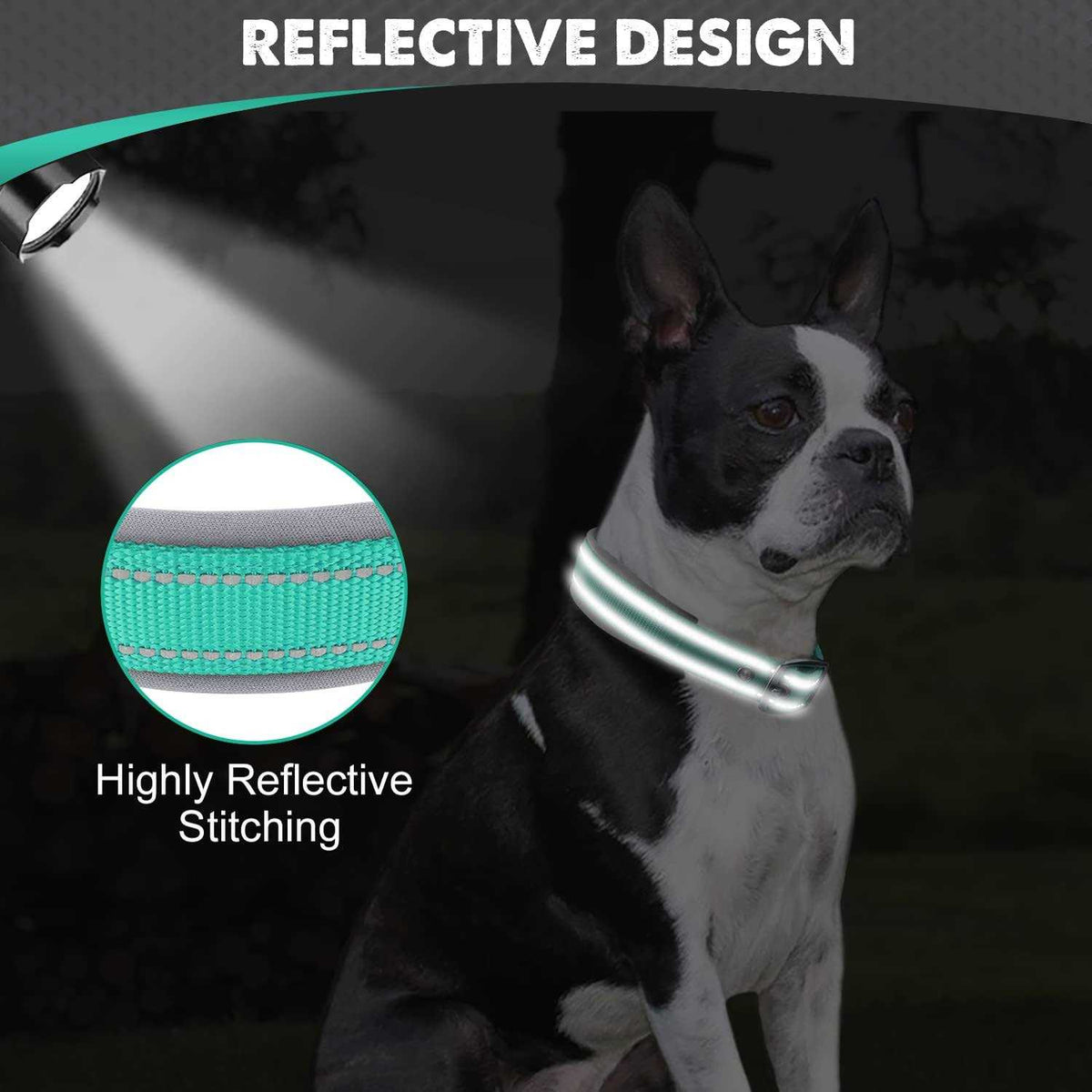Reflective Neoprene Padded Nylon Dog Collar Z276459
