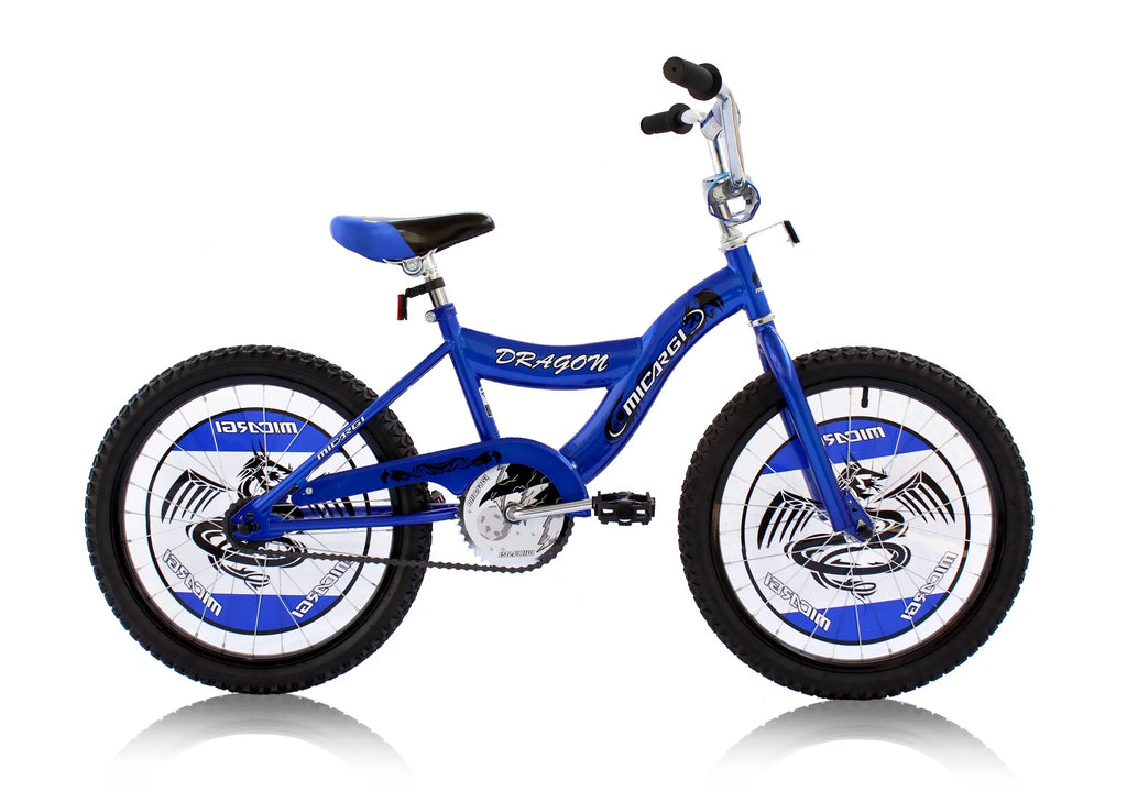 20 In. Blue Bicycle B520896