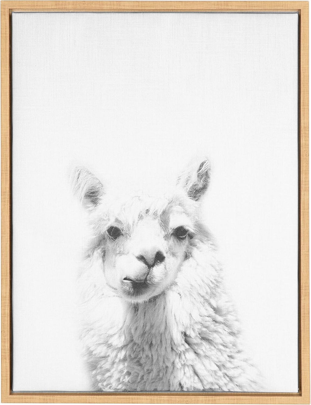 Black and White Framed Canvas Wall Art, 18x24 E28033