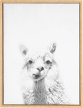 Black and White Framed Canvas Wall Art, 18x24 E28033