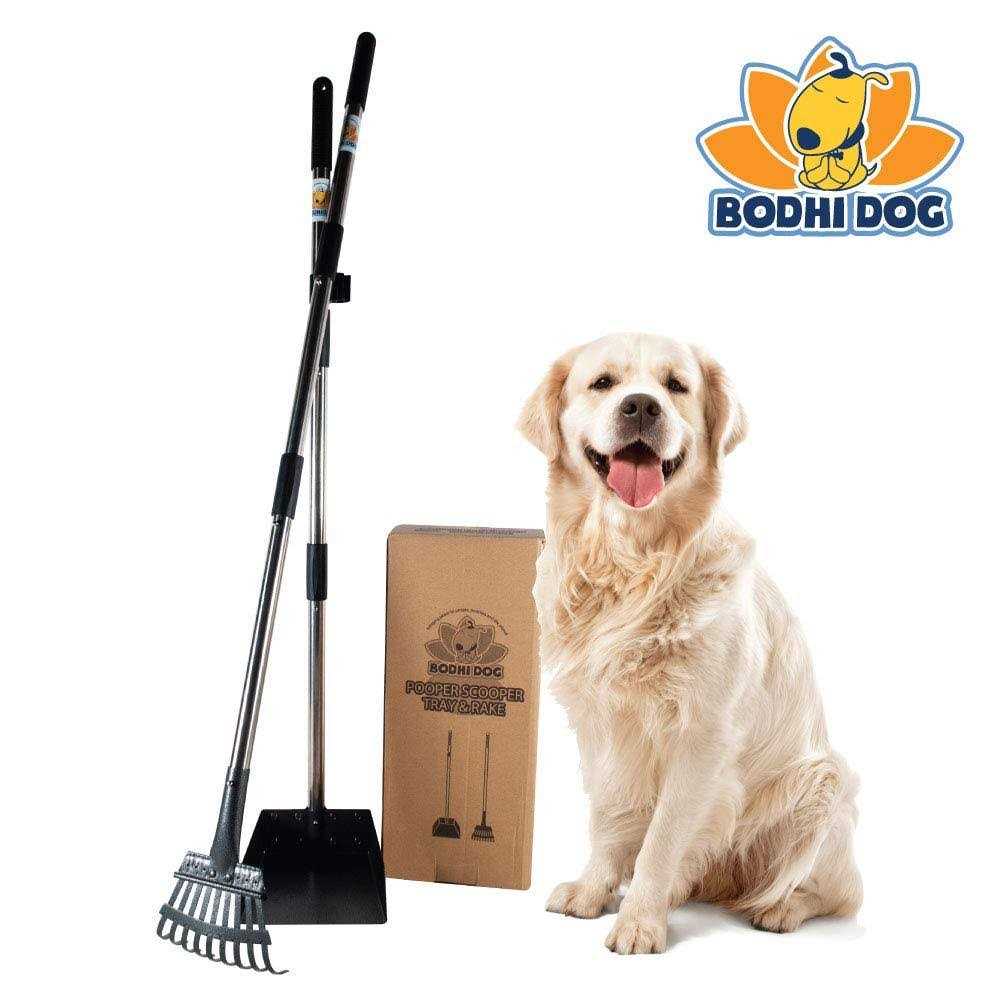 Metal Long Handle Tray and Rake Pooper Scooper N16929