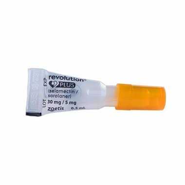 Orange for Cats 5.6 to 11 lb (1 month) G142
