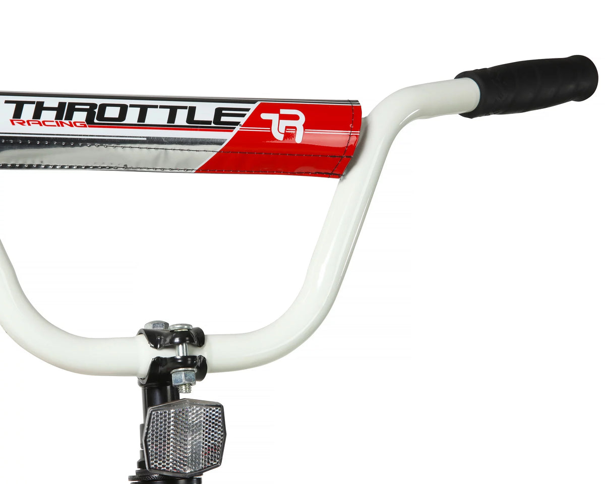 20-Inch BMX Bike R8210