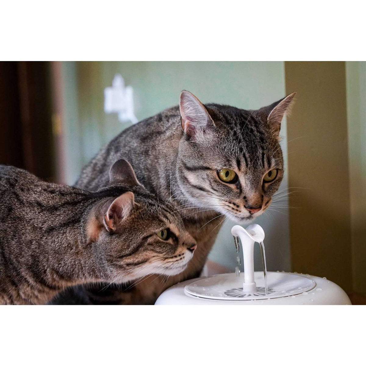 Water Fountain for Cats and Small Dogs with 5-Layer Filter T47768