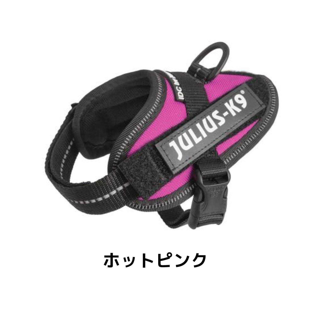 Powerharness Q15503