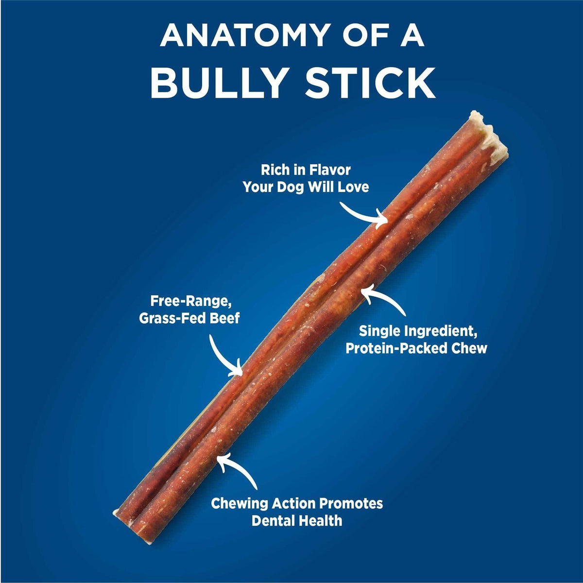 Odor Free Bully I17176