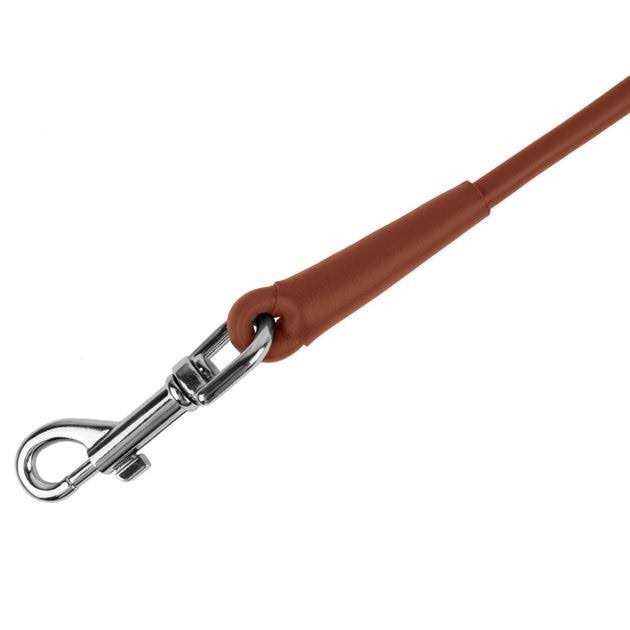 Rolled Leather Dog Leash A372