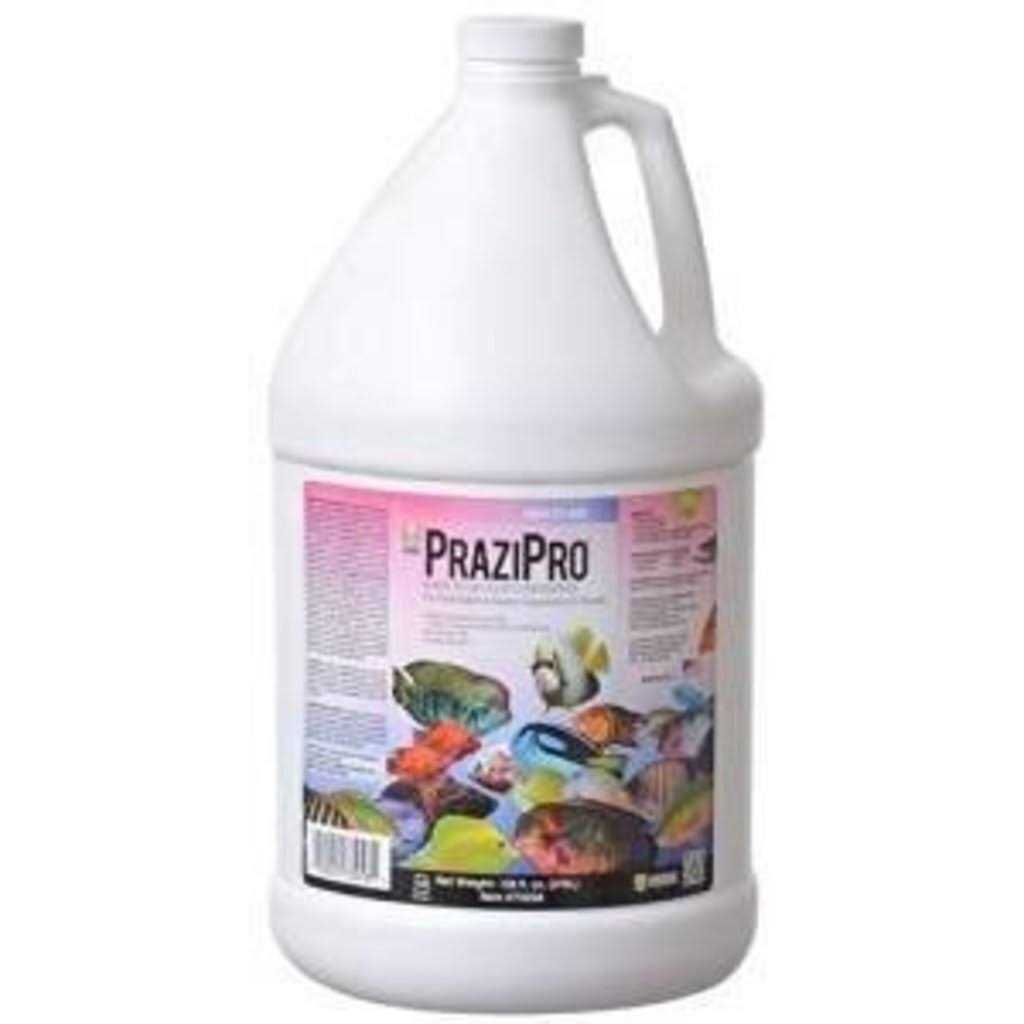 PraziPro F600447