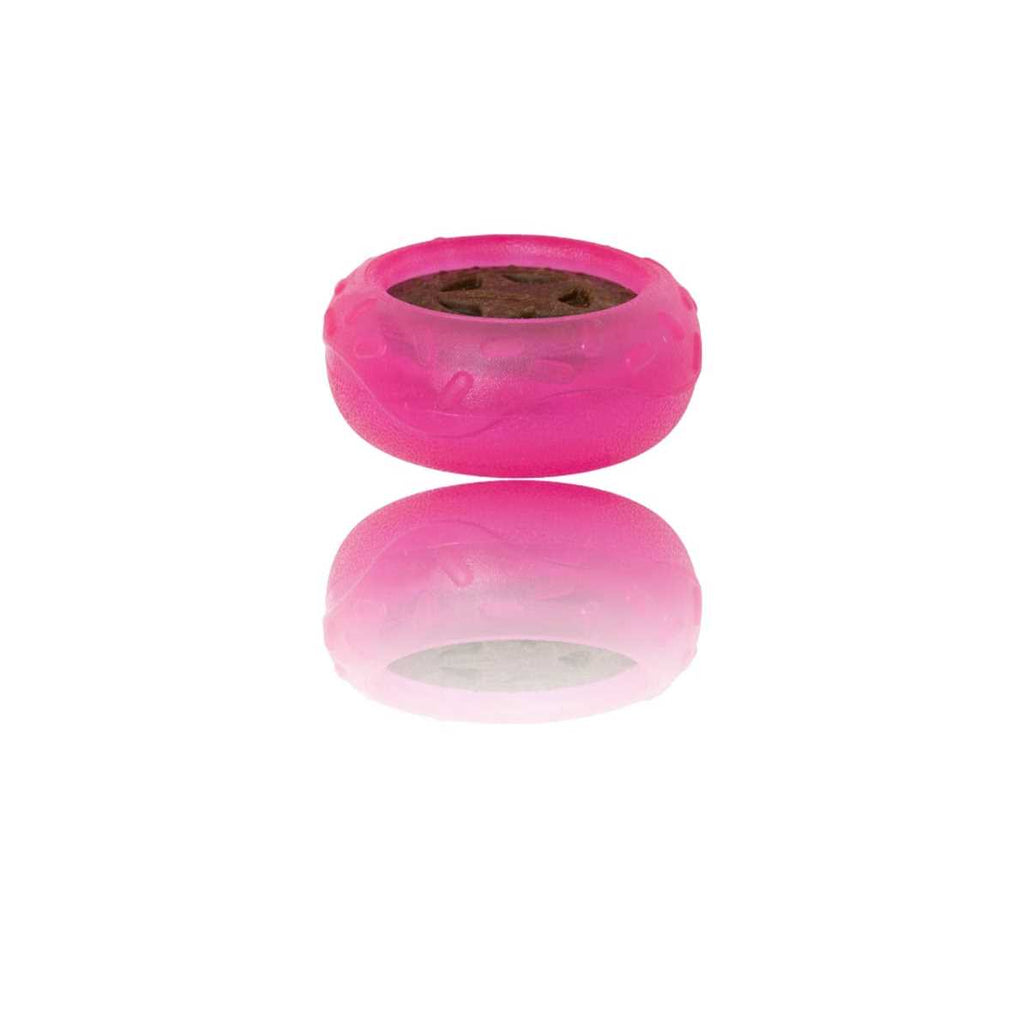 Dog Toy W66759