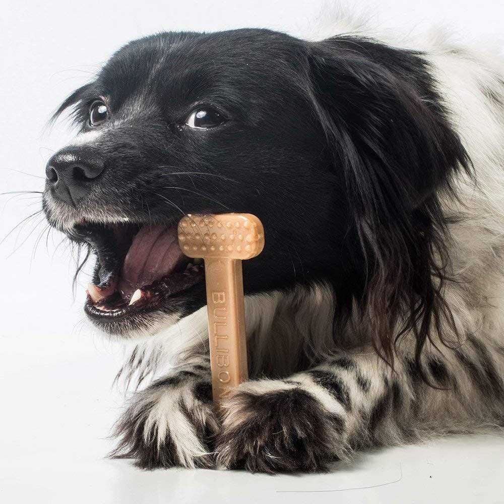 Nylon Dog Chew Toy H34963
