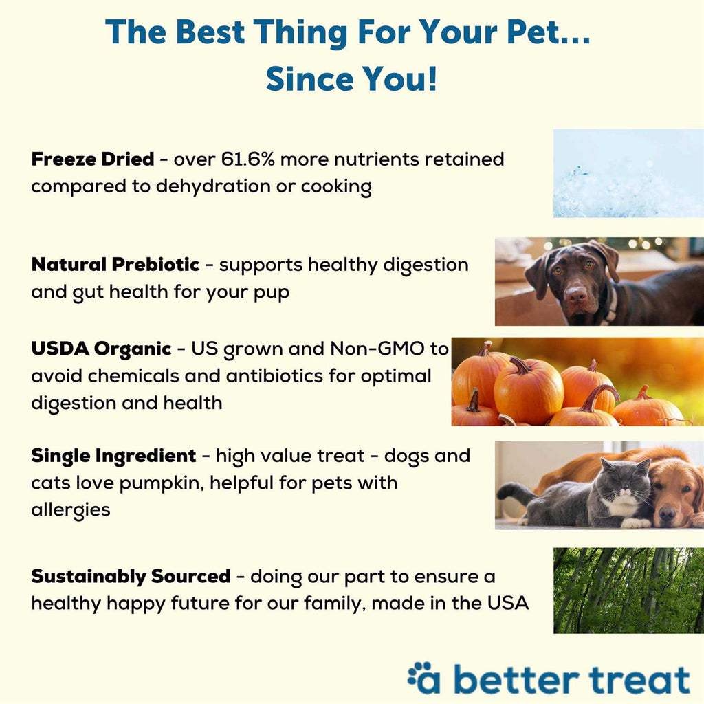 Organic Freeze-Dried Dog & Cat Treats Z64510