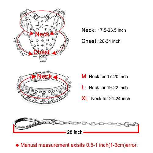 Black Leather Spiked Dog Collar & Leash & Harness 3 Pcs Set E541