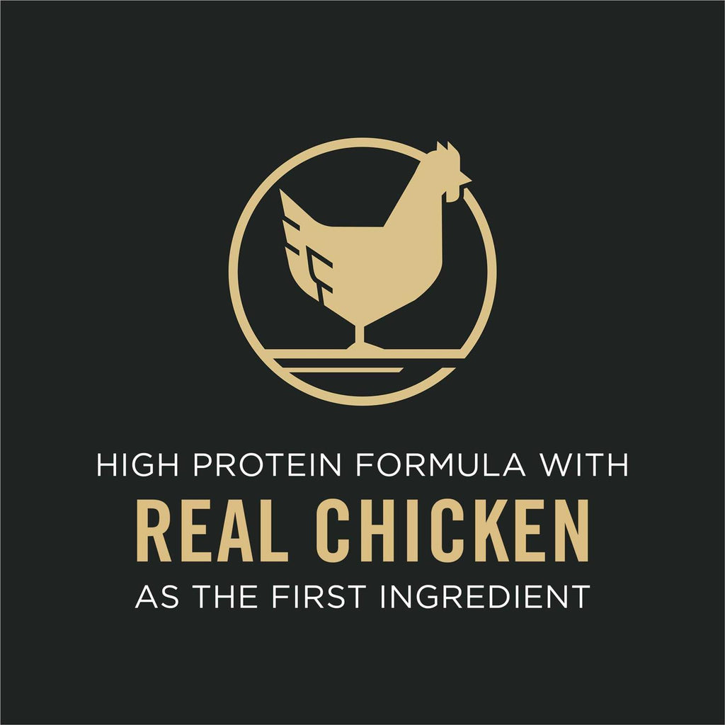 Chicken & Rice Dry Dog Food S705627