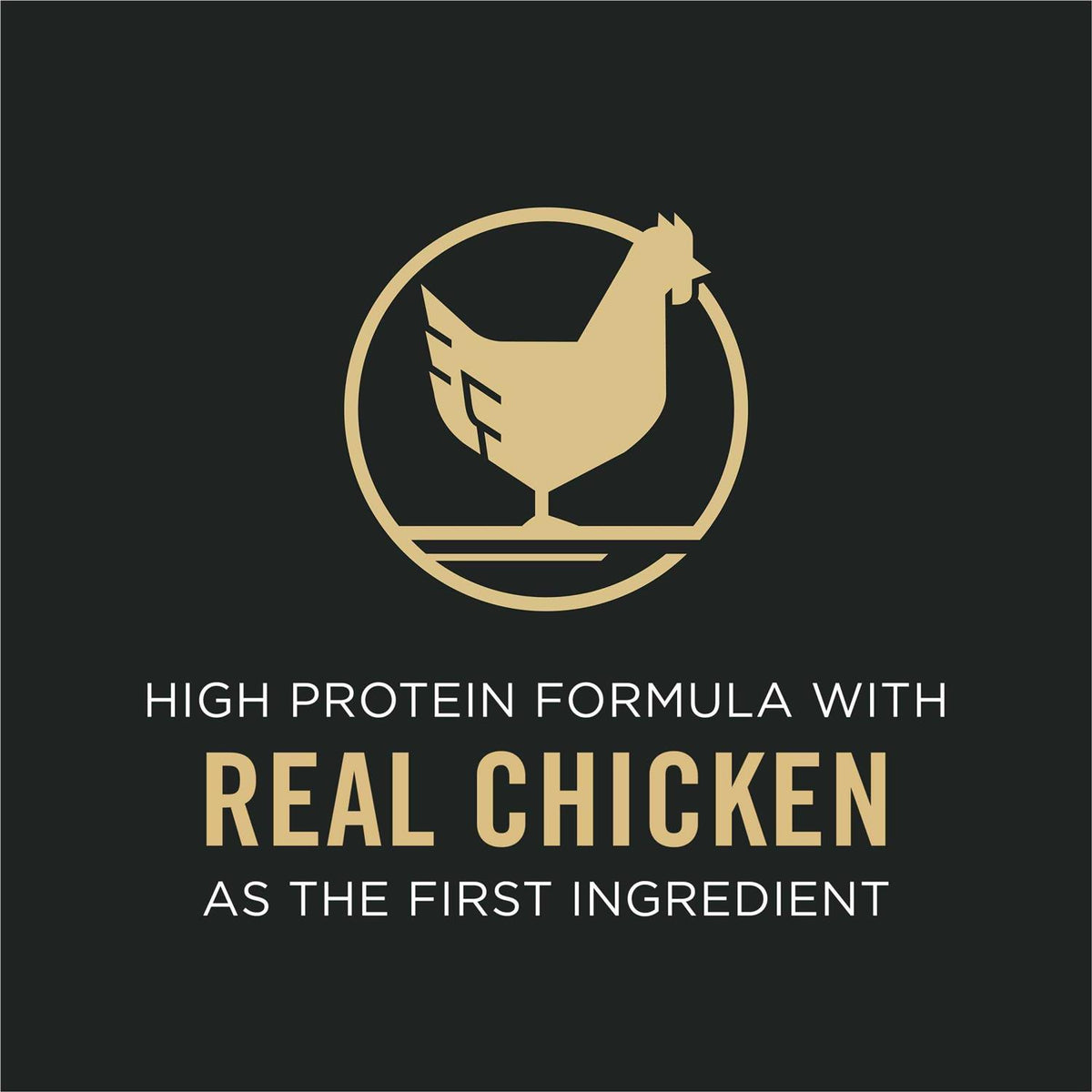 Chicken & Rice Dry Dog Food S705627
