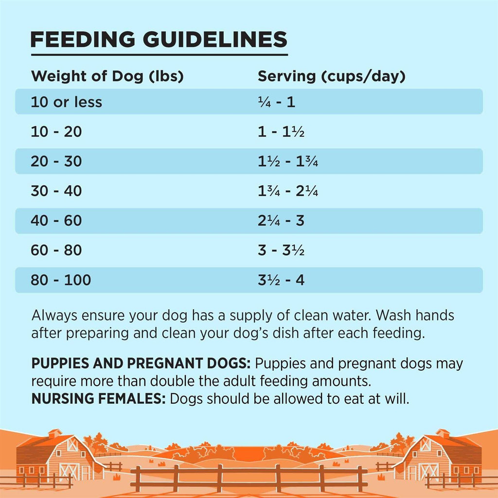 Chicken Recipe Dog Food E231759