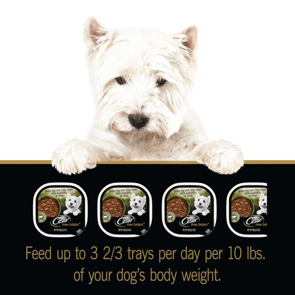 Vegetables Dog Food G22112
