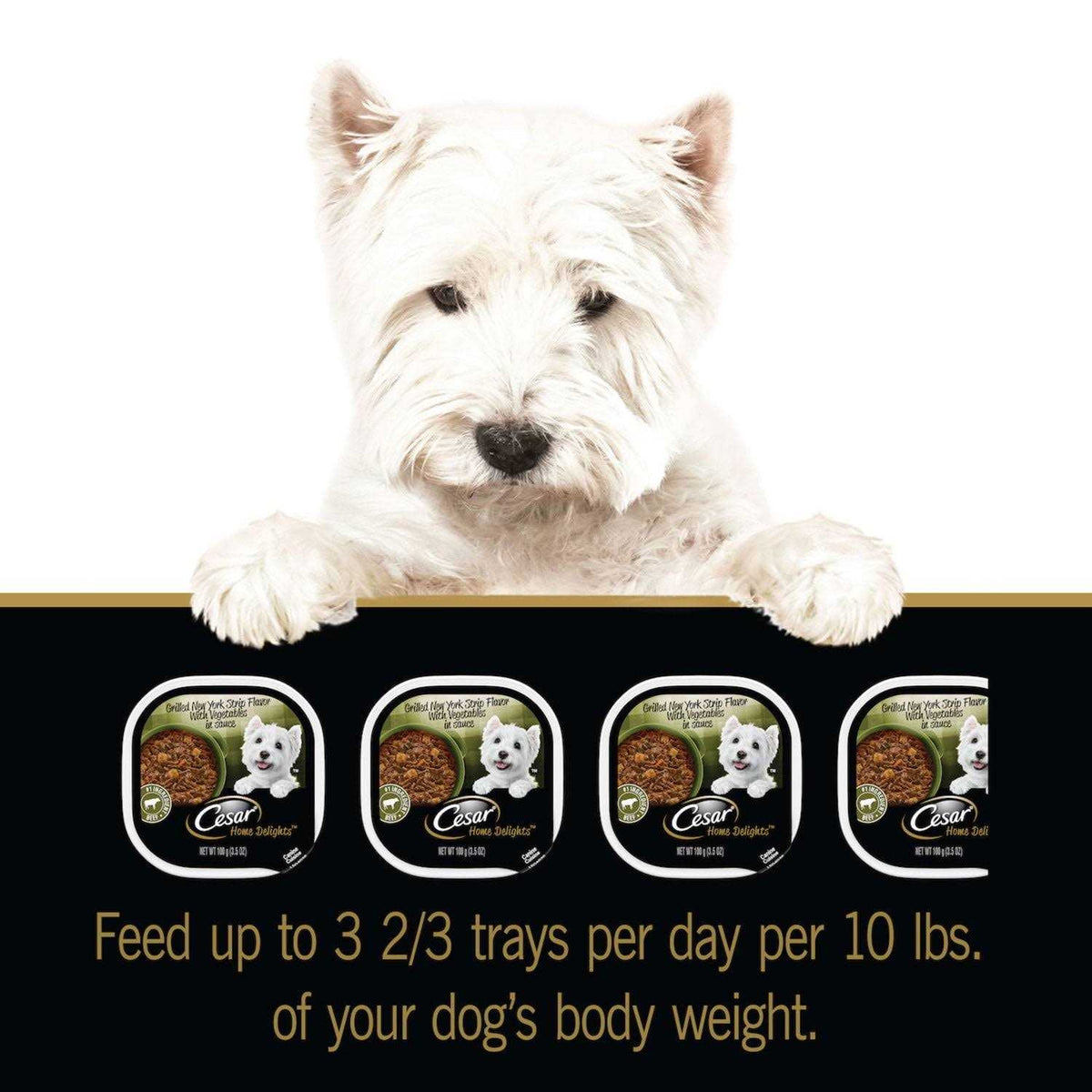 Vegetables Dog Food G22112