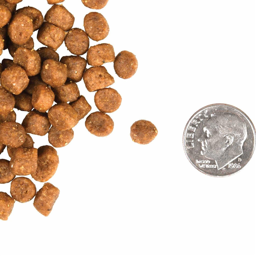 Cat Food E600