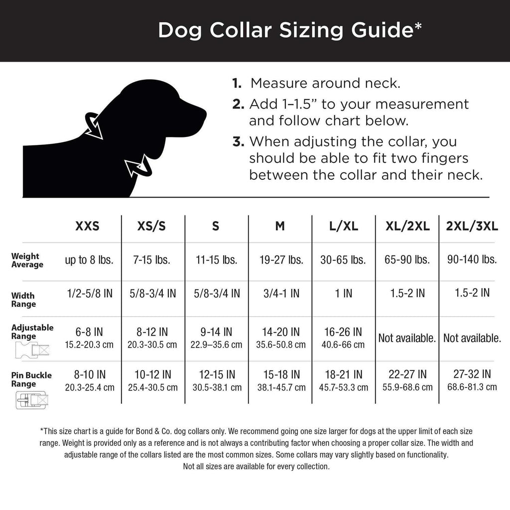 Bling Dog Collar A274