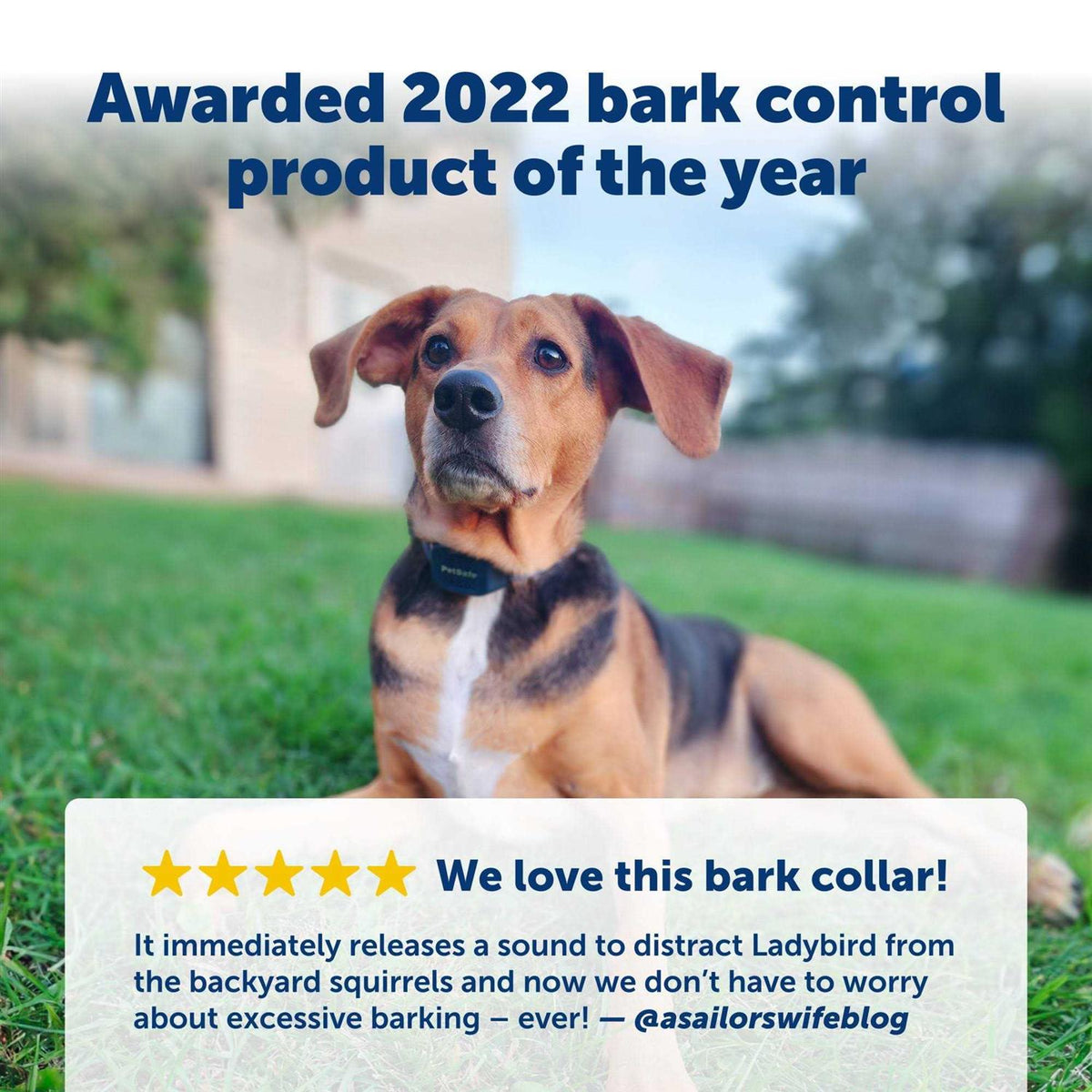 Audible Bark Dog Collar J24402