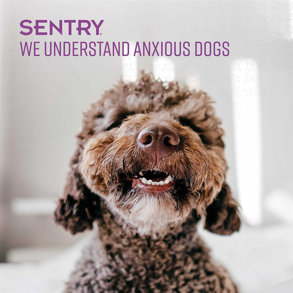 Calming Toy for Dogs A93598