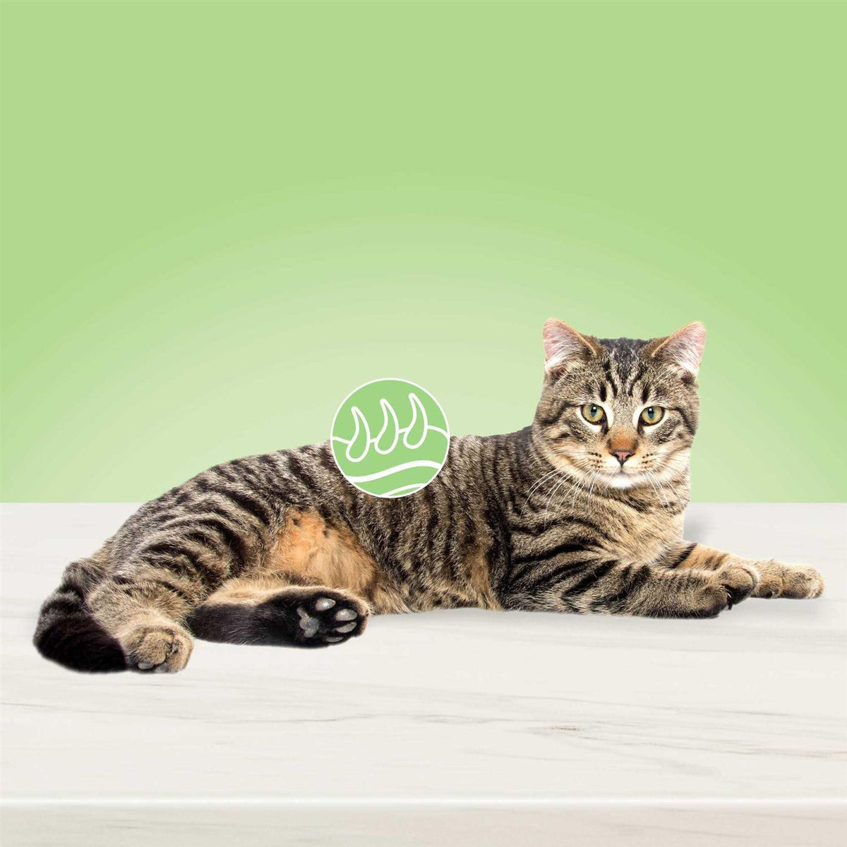 Adult Dry Cat Food E7797