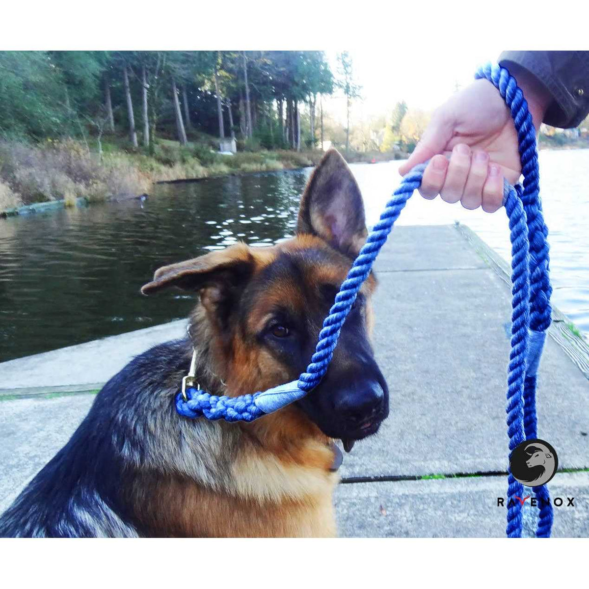 Cotton Rope Leash K1393