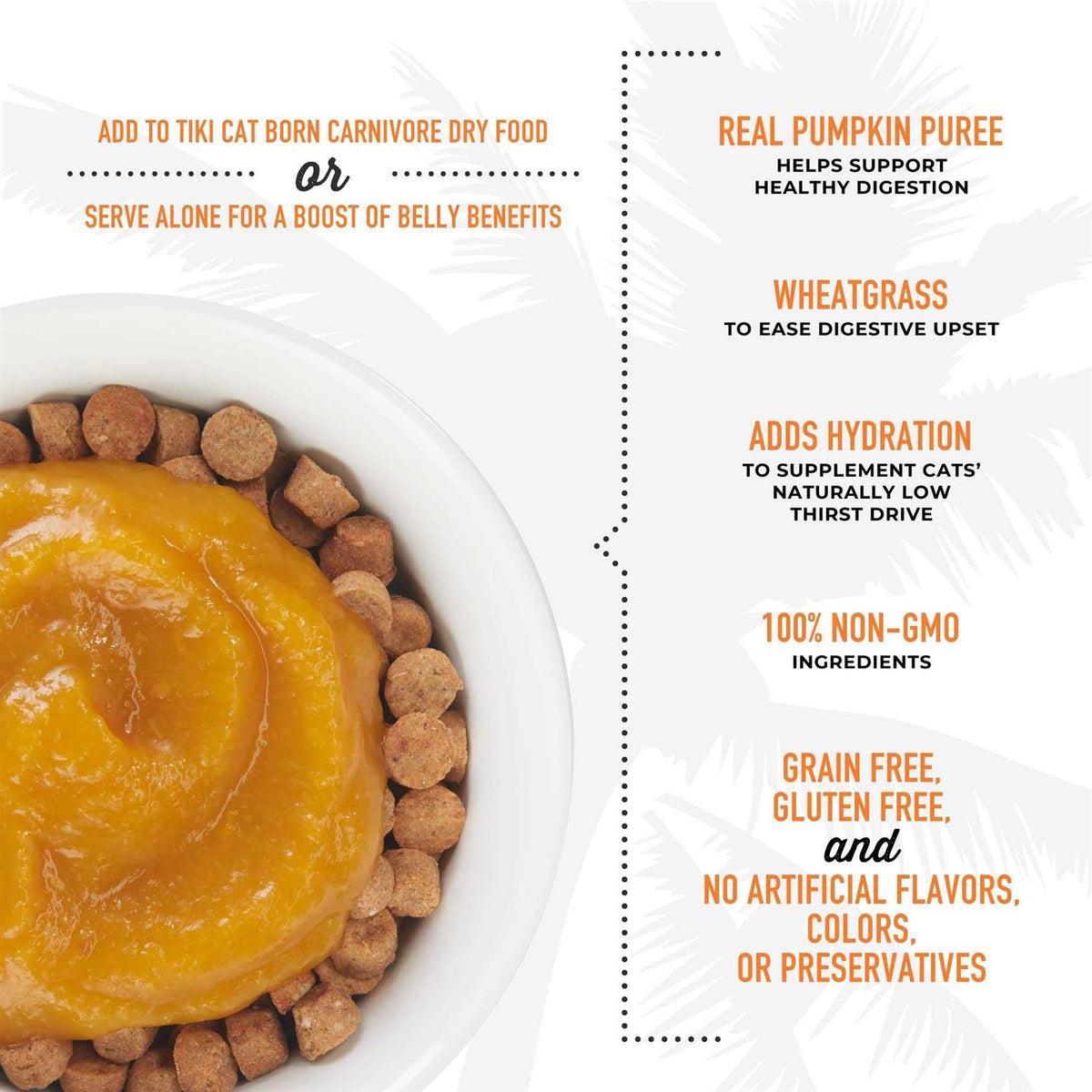 Pumpkin Recipe Puree Meal Topper P823