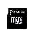 2 GB MiniSD Memory Card with SD Adapter D45184