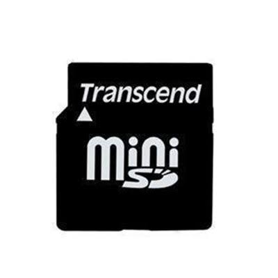 2 GB MiniSD Memory Card with SD Adapter D45184