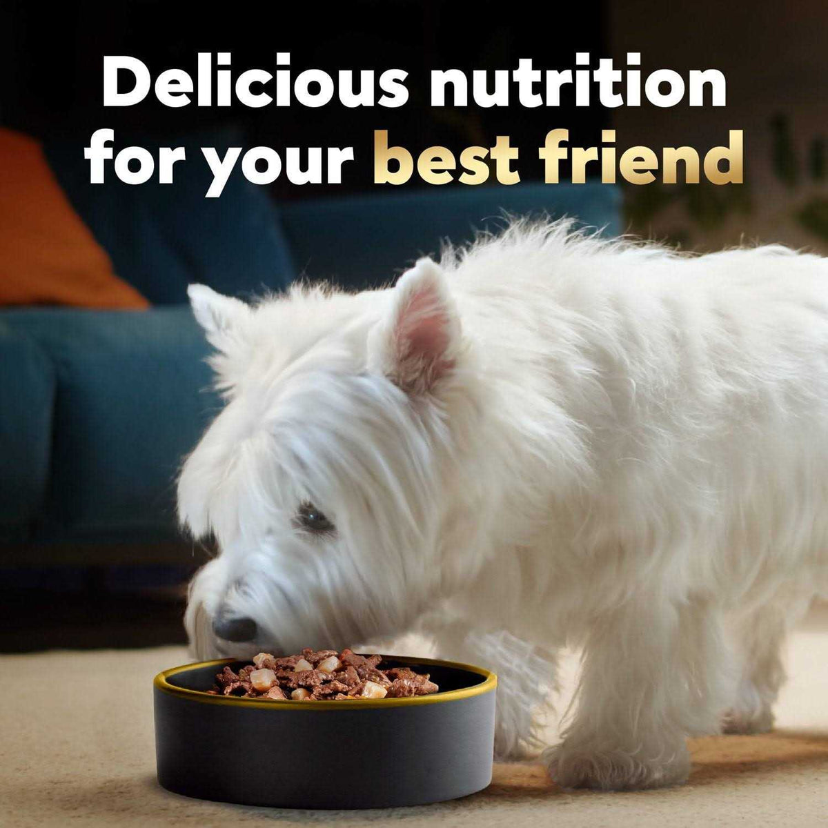 Vegetables Dog Food G22112