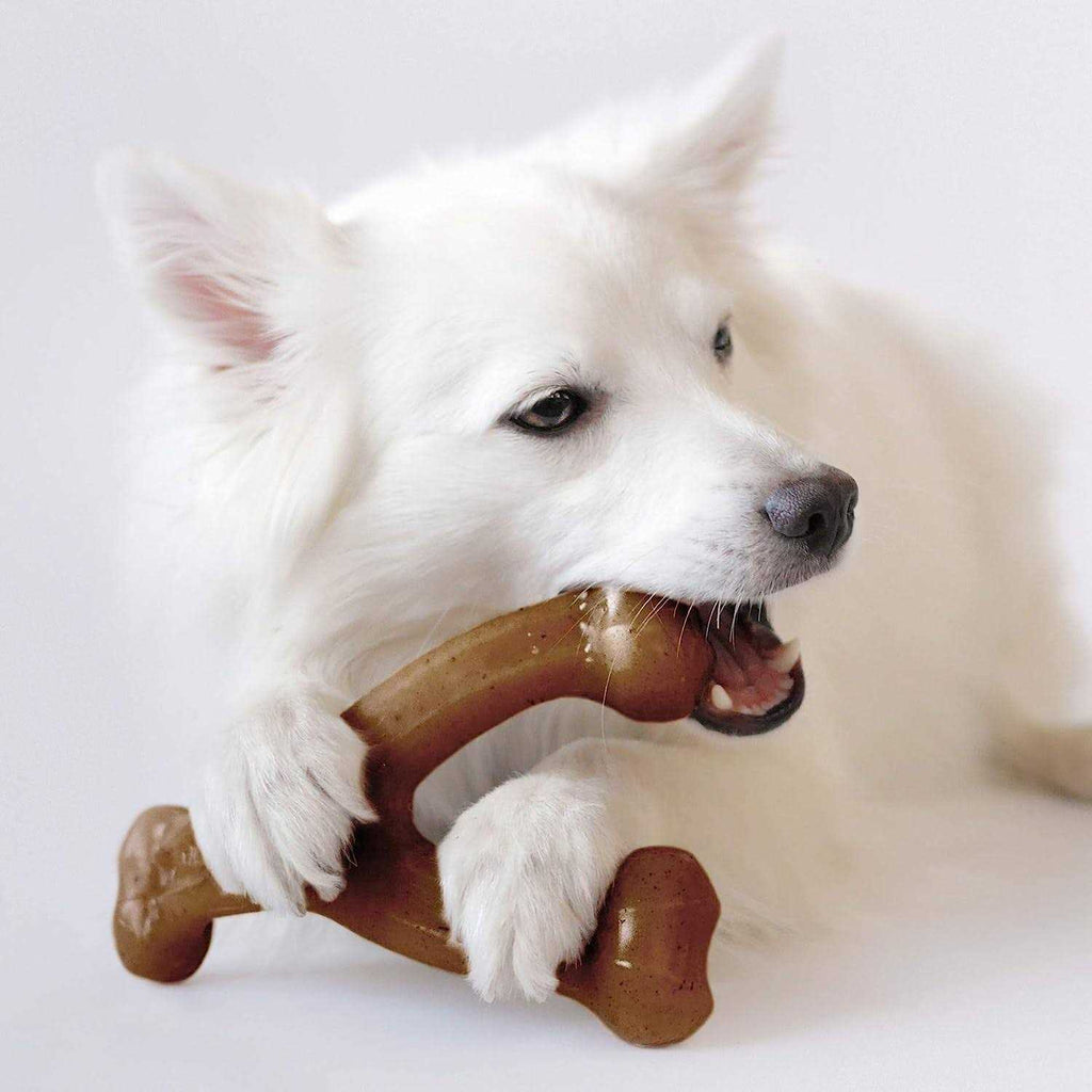 Wishbone Dog Chew P9679