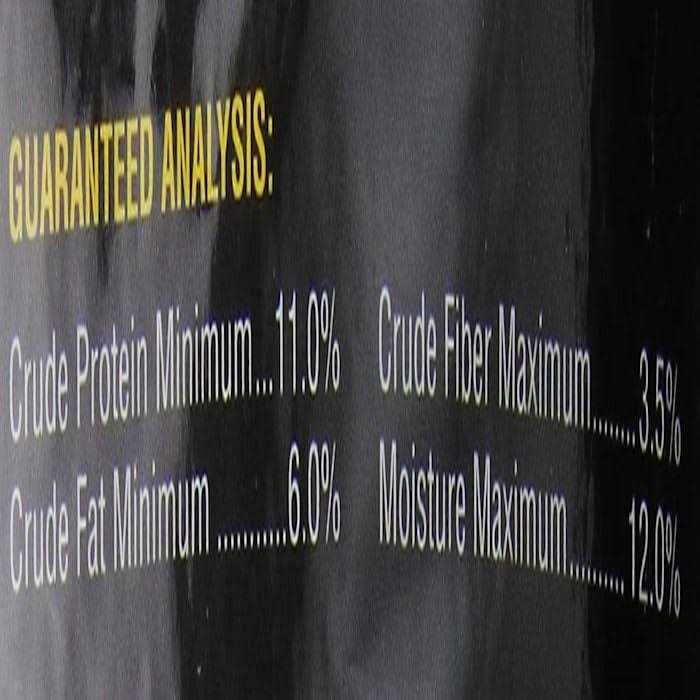 Daily Maintenance Mini E322